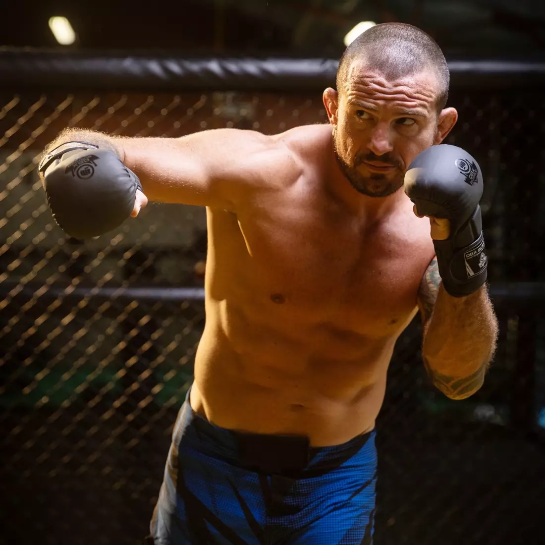 rękawice sparingowe do mma