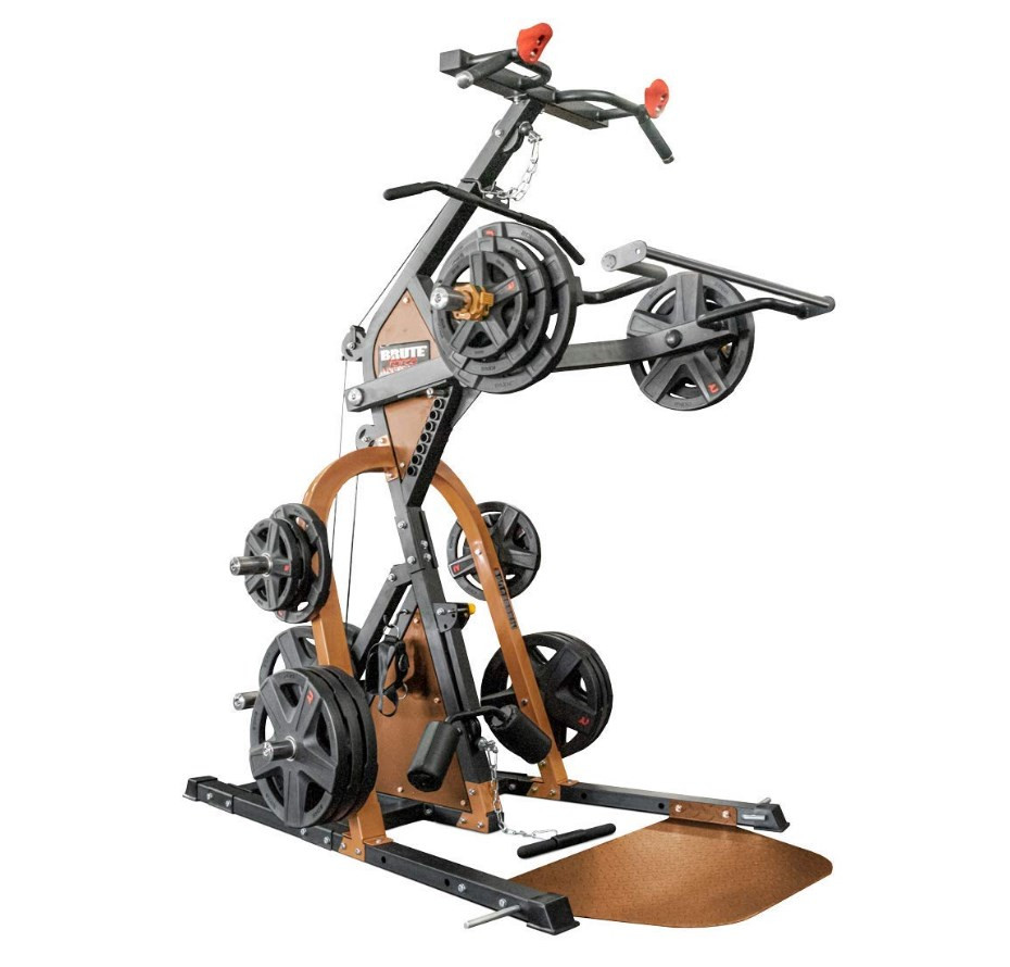 Мультитренажер BRUTEforce RAPT Leverage Gym купити в Україні