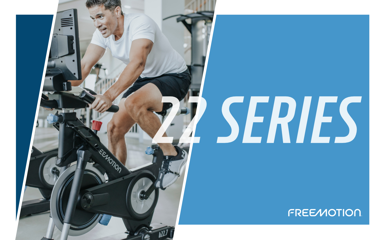 FreeMotion Coachbike b22.7
